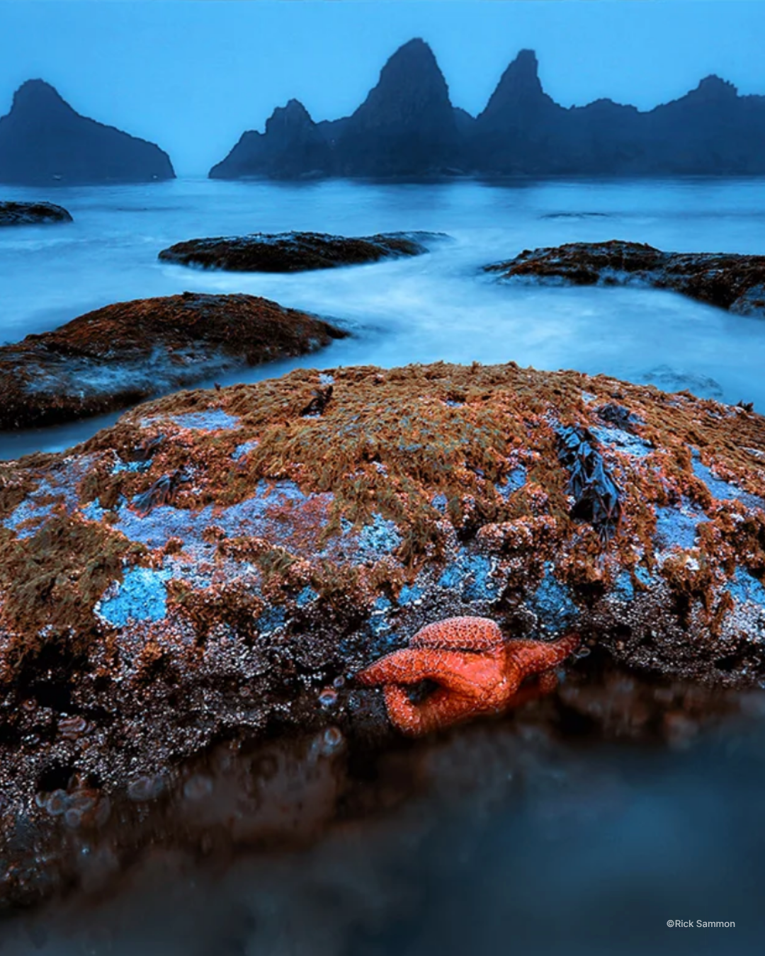 oregon_coast 2