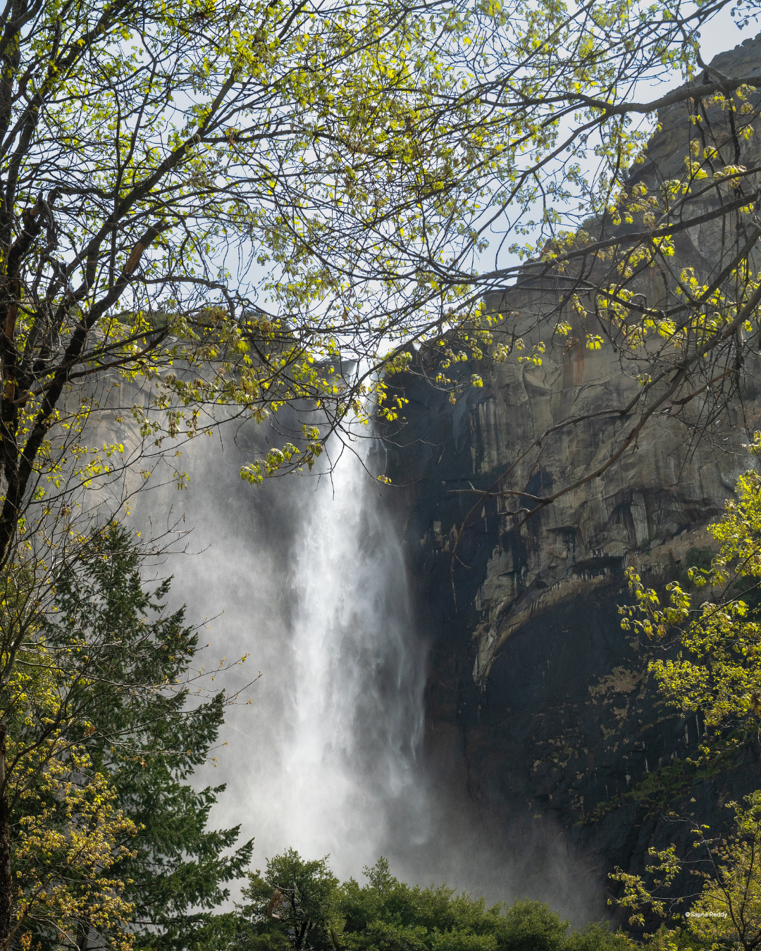 A rainbow forming at the base of Bridal Veil Falls