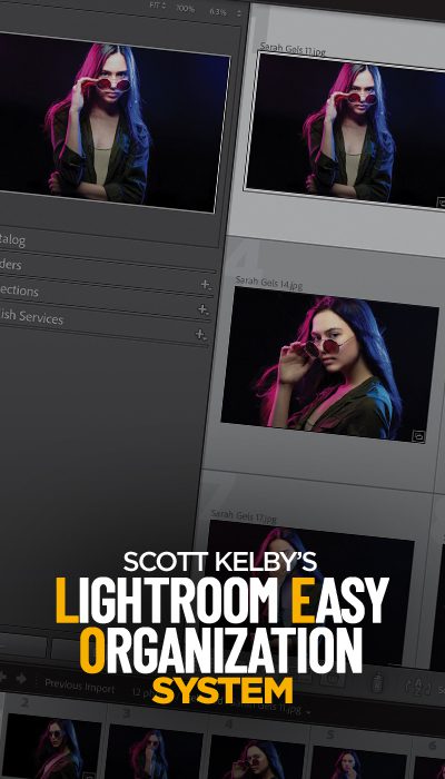 LRLearningSystem_LEOSystem (1)