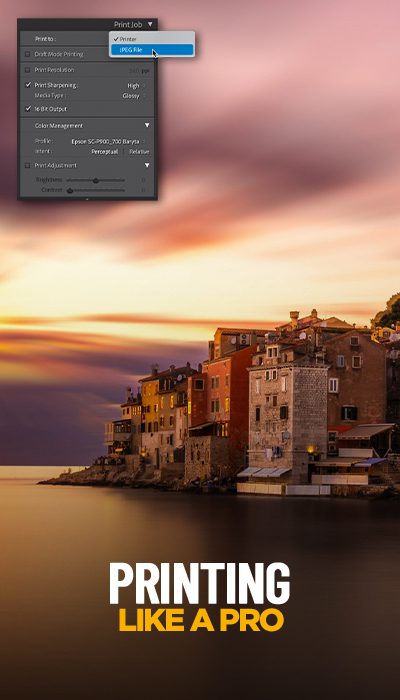 LRLearningSystem_PrintingLikeAPro (1)