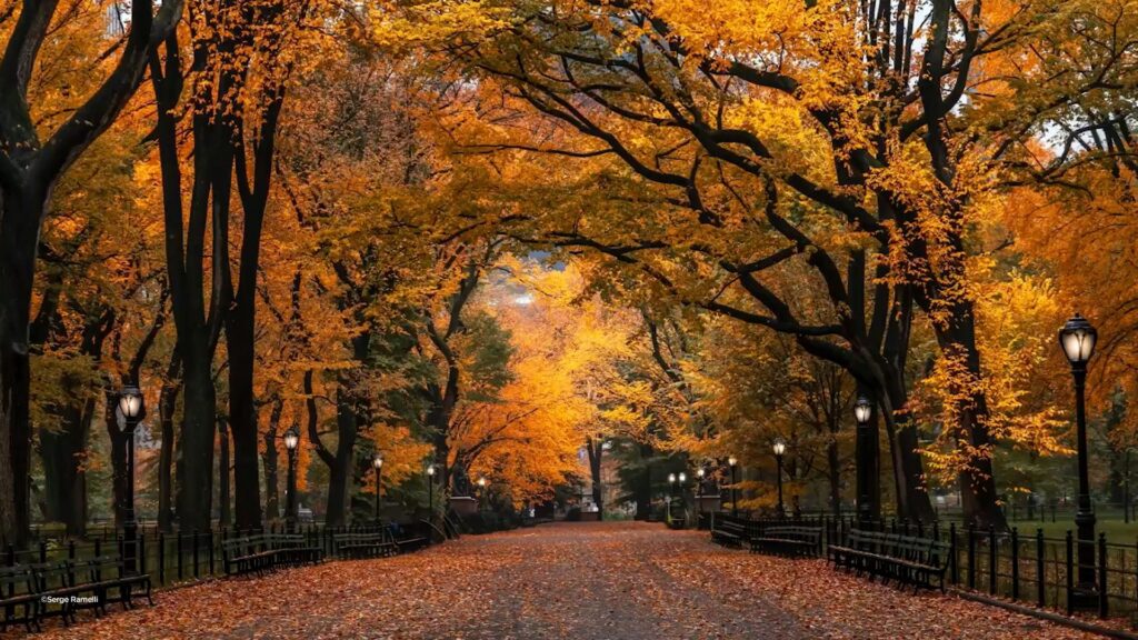 KelbyOne landscape photography courses taught by professional photographers